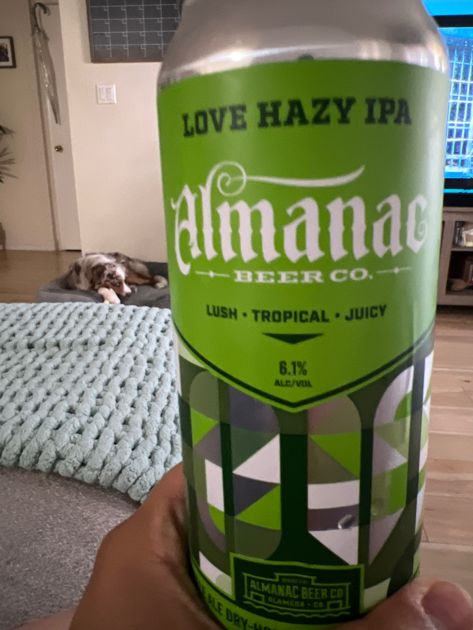 Unfiltered Opinion IPA, United States