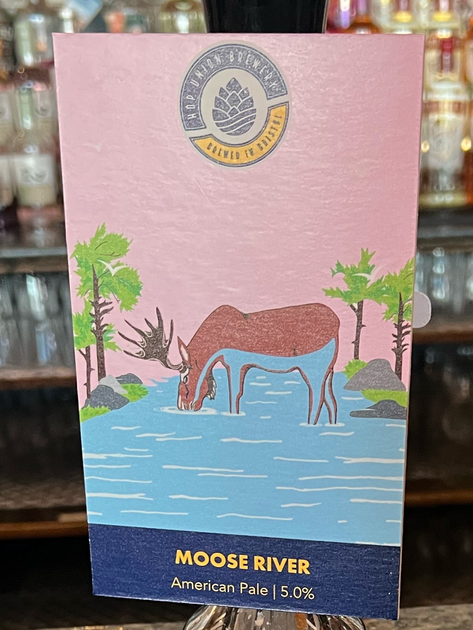 Great Western Brewing Pint Please