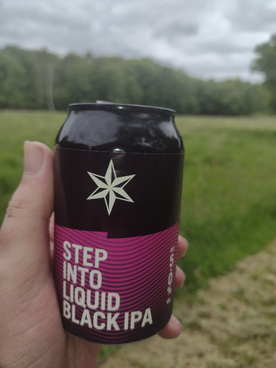 Step Into Liquid Black IPA, England