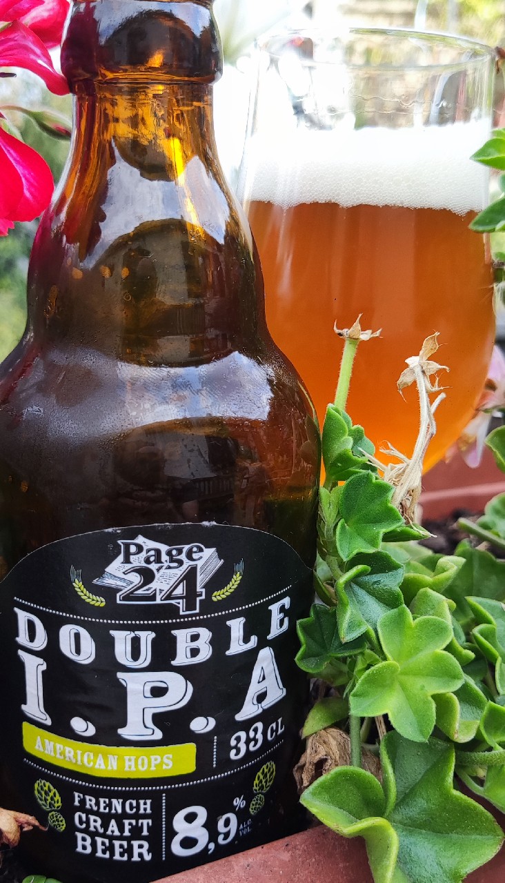 Page 24 Double IPA, France