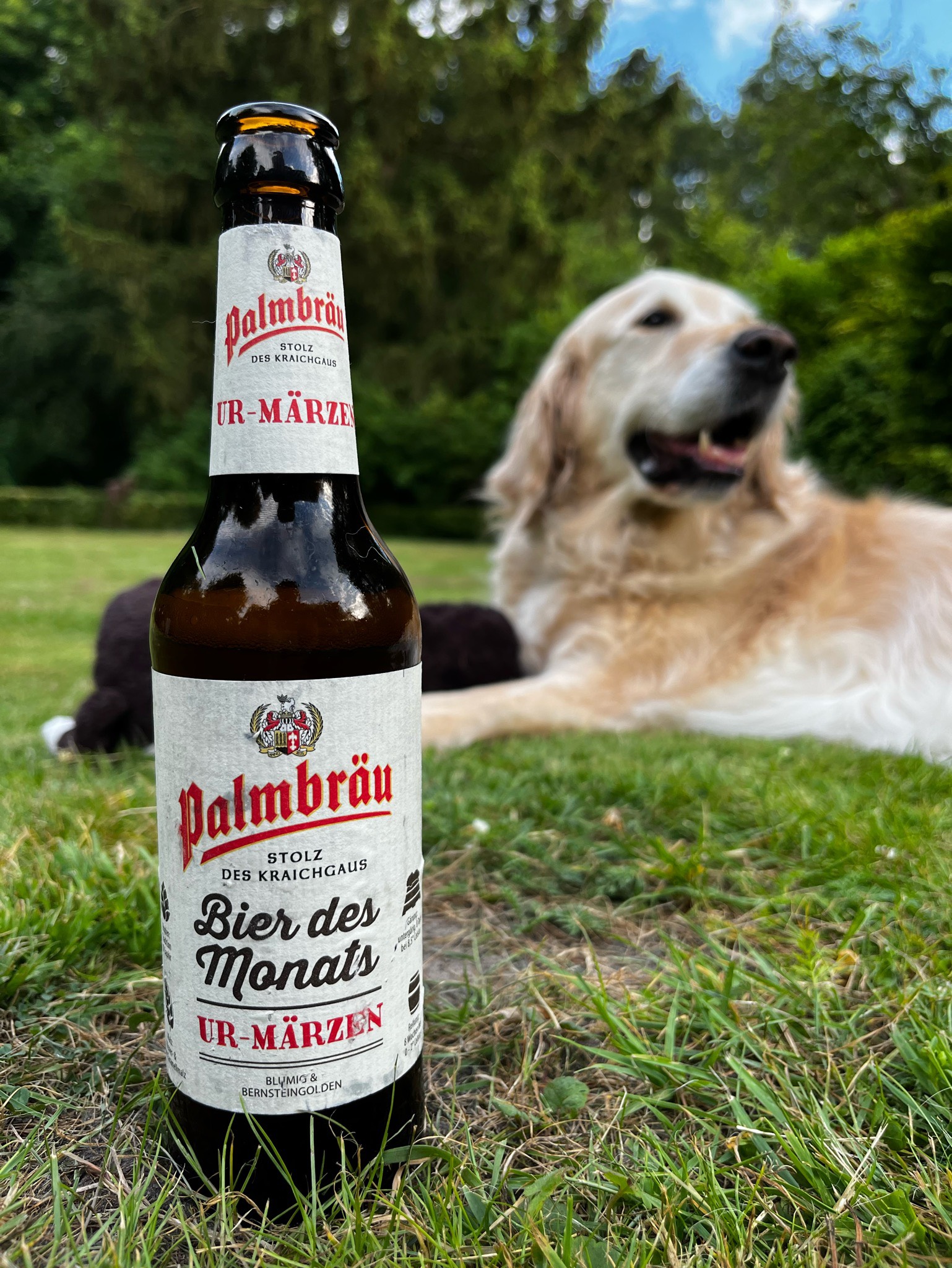 Bier des Monats – Ur-Märzen, Germany