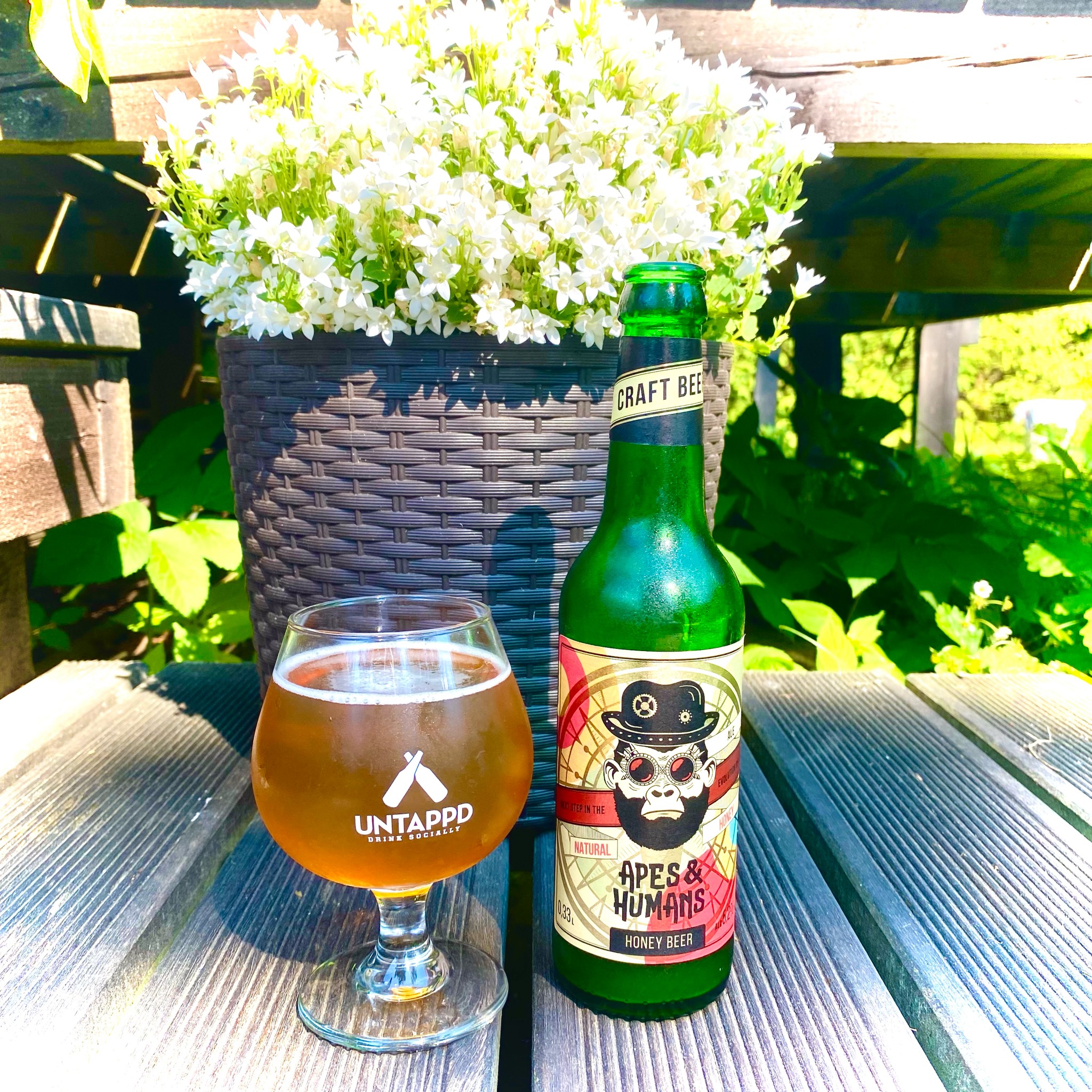 Apes & Humans Medaus Alus, Lithuania