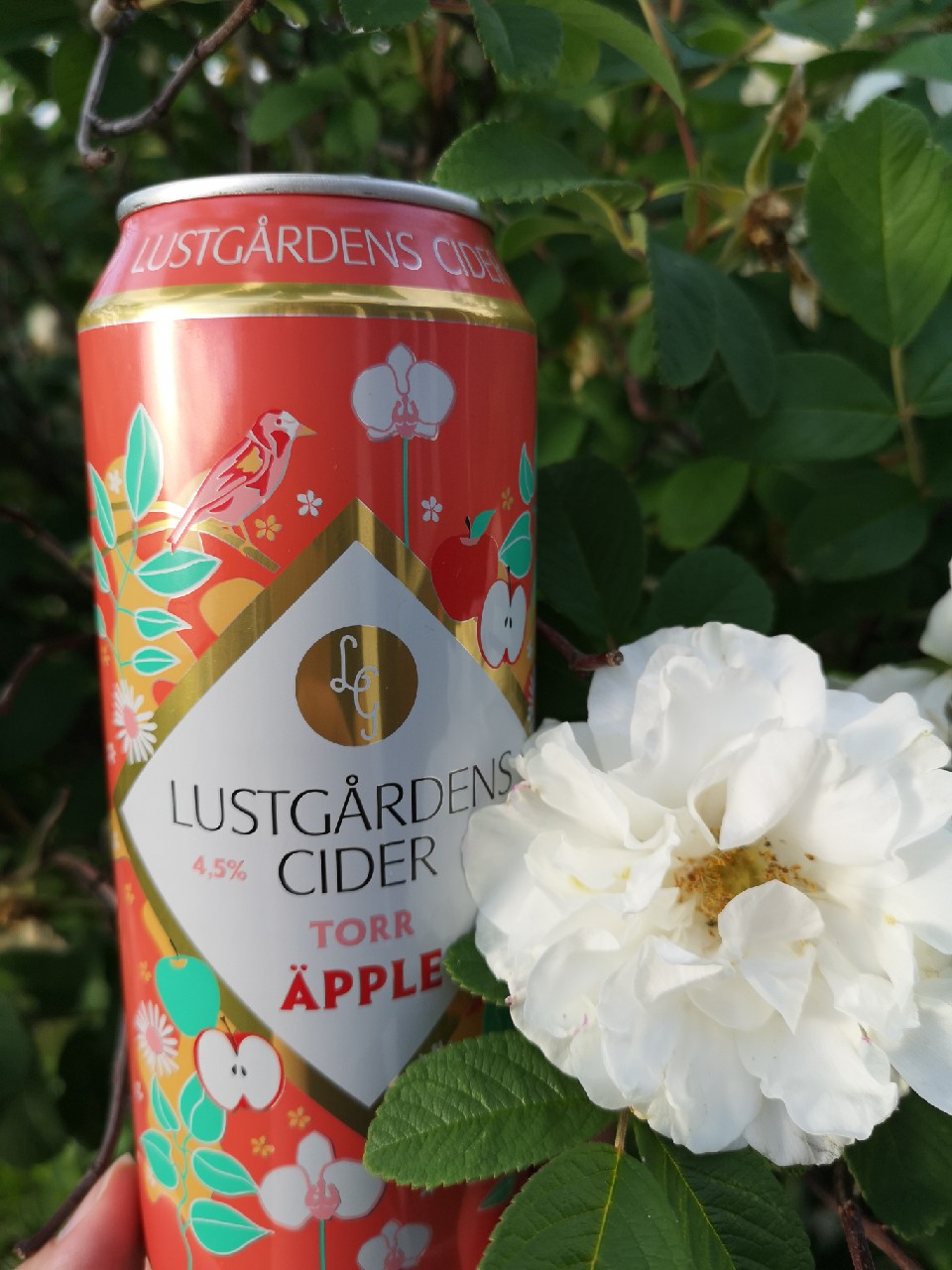 Lustgårdens Cider Torr Äpple, Sweden