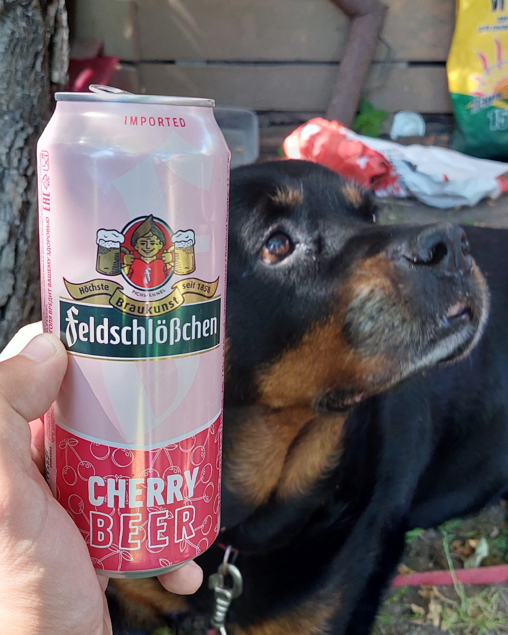 Cherry Beer, Germany