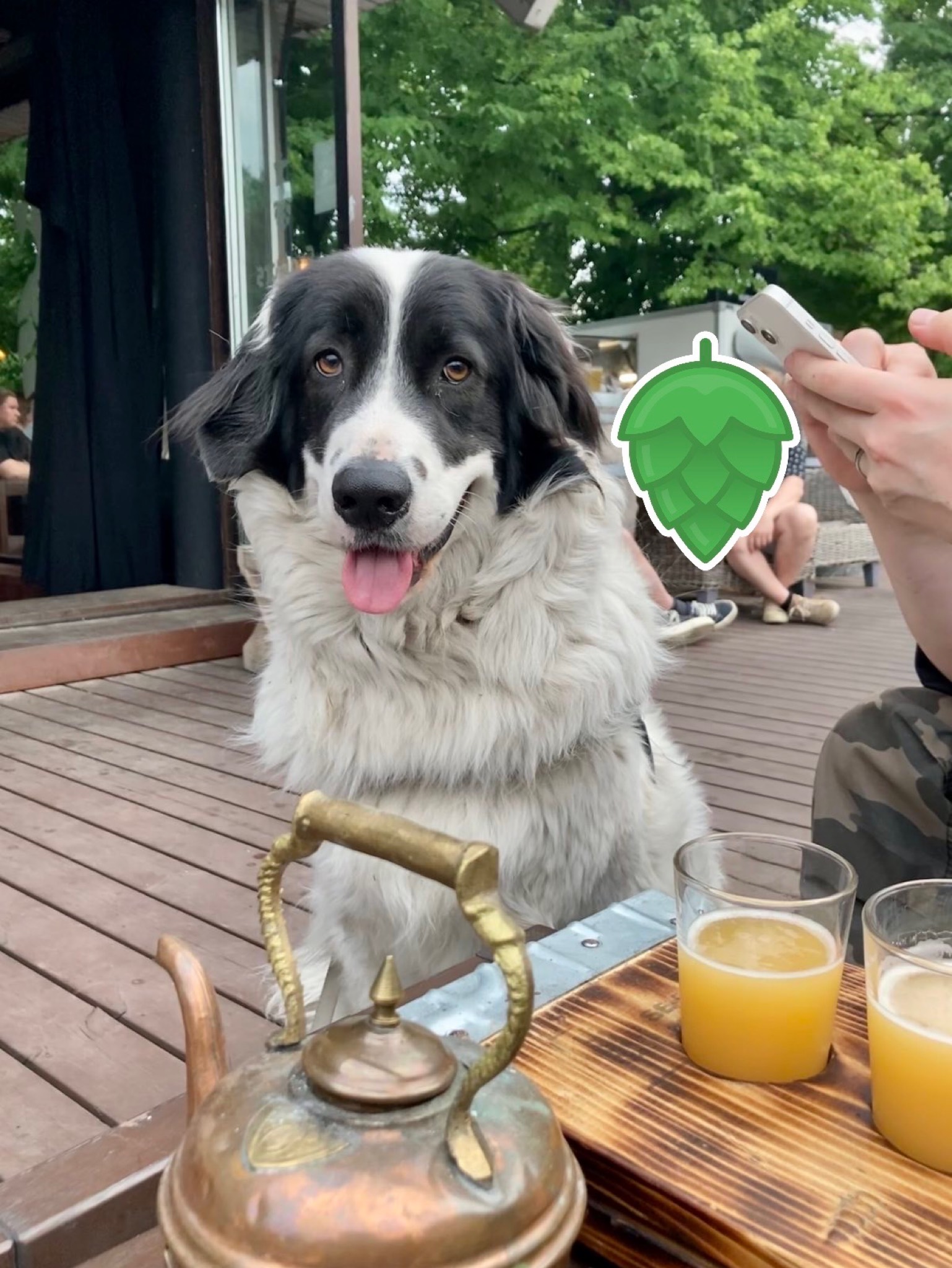 Wake Wake Up Up, United States