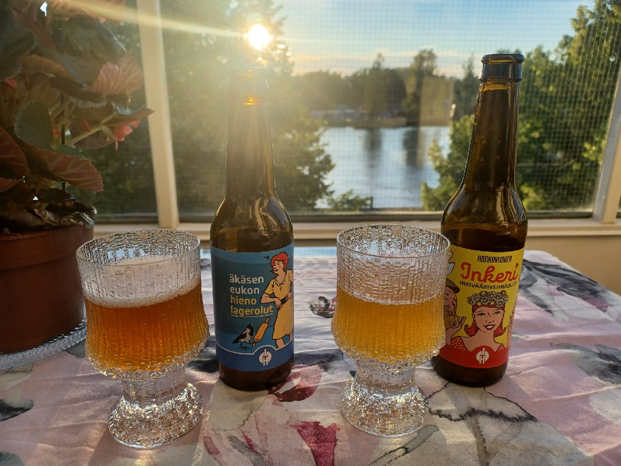 Inkeri Inkiväärivehnäolut, Finland