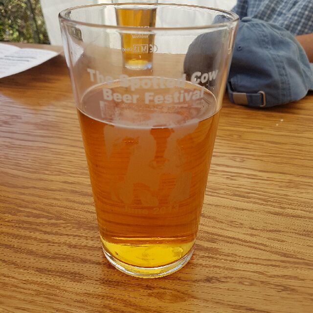 LodeStar Festival Ale, England