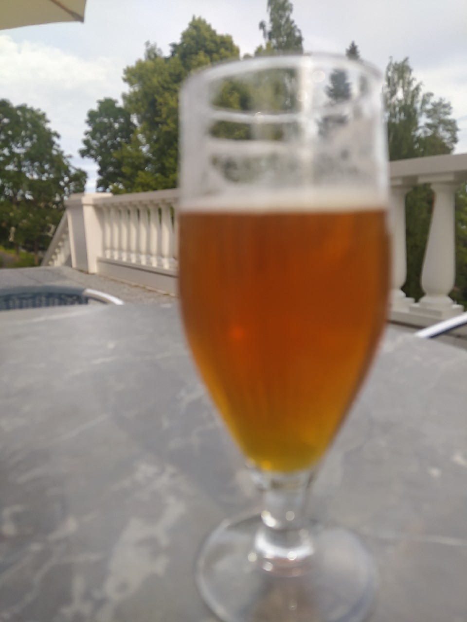 Kartanon IPA (Haikon Kartano), Finland