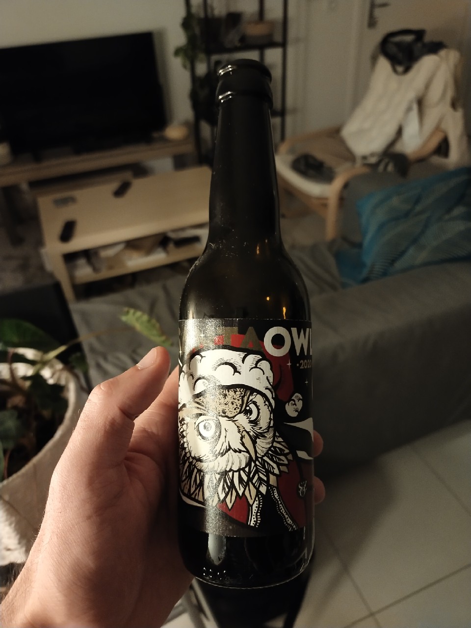 Santa Owl 2020, France