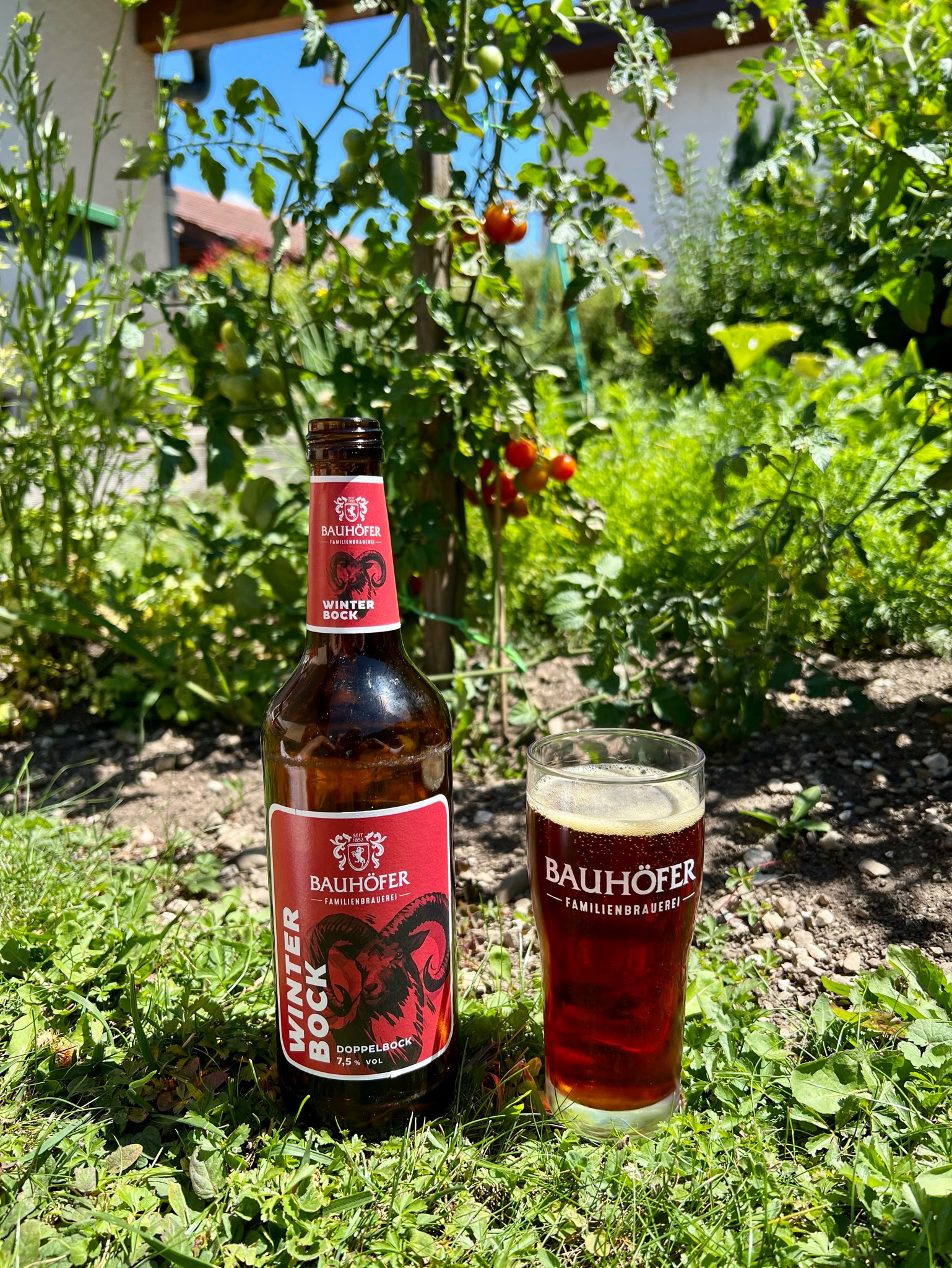 Der Ulmer Winterbock, Germany