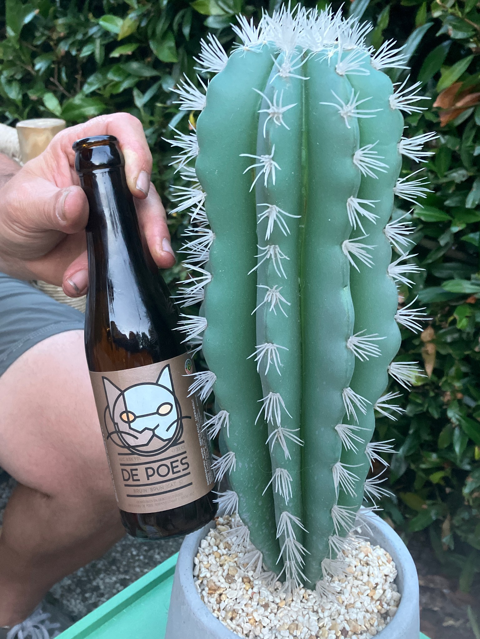 De Poes Bruin, Belgium