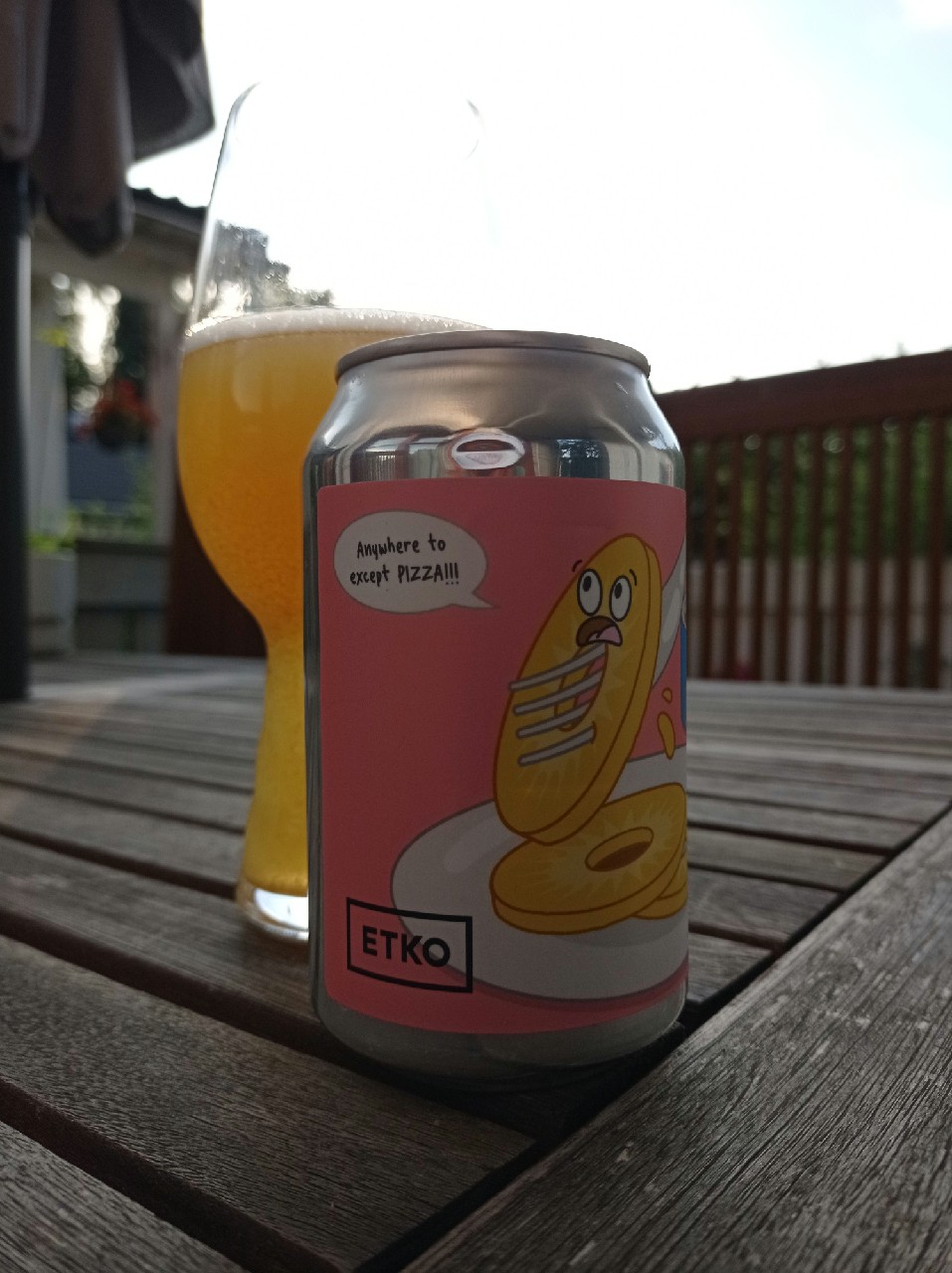 Pineapple Thief, Finland