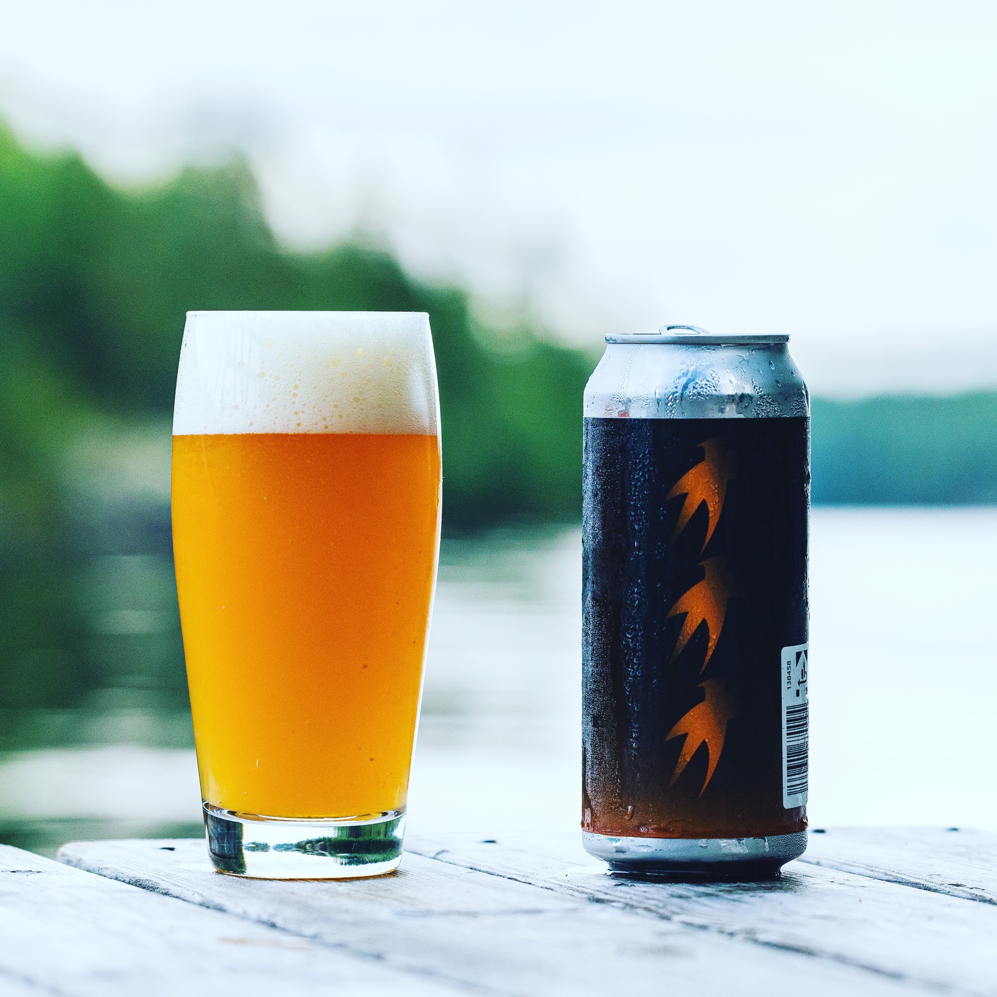 Triple Orange Starfish, United States