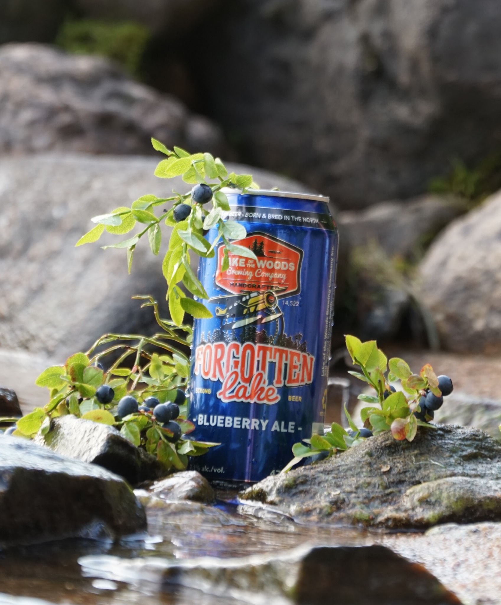 Forgotten Lake Blueberry Ale, Canada