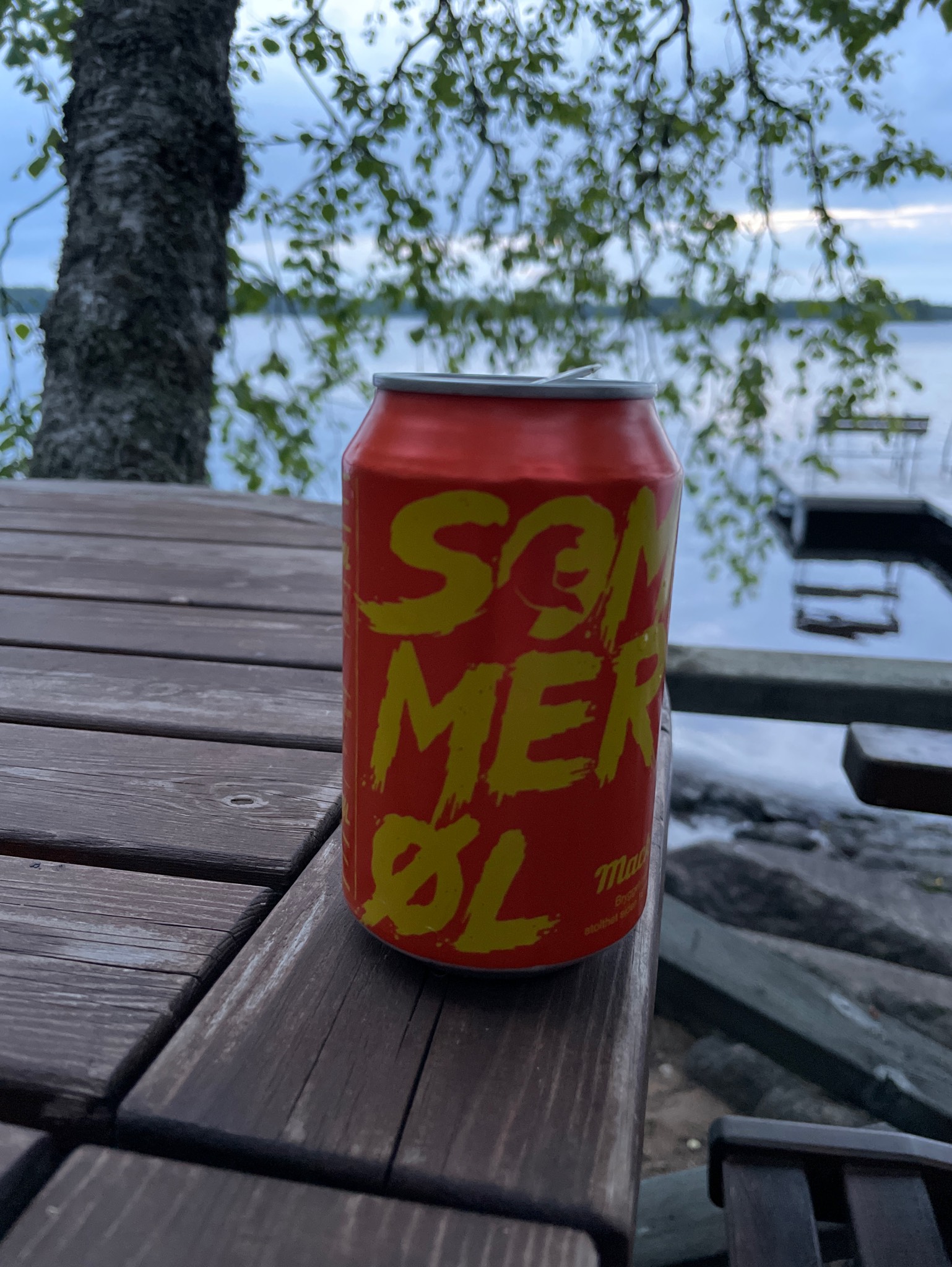 Isbjørn Sommerøl Lite, Norway