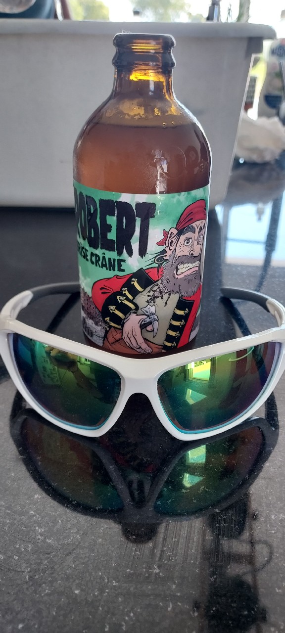 Robert Brise Crâne IPA, France