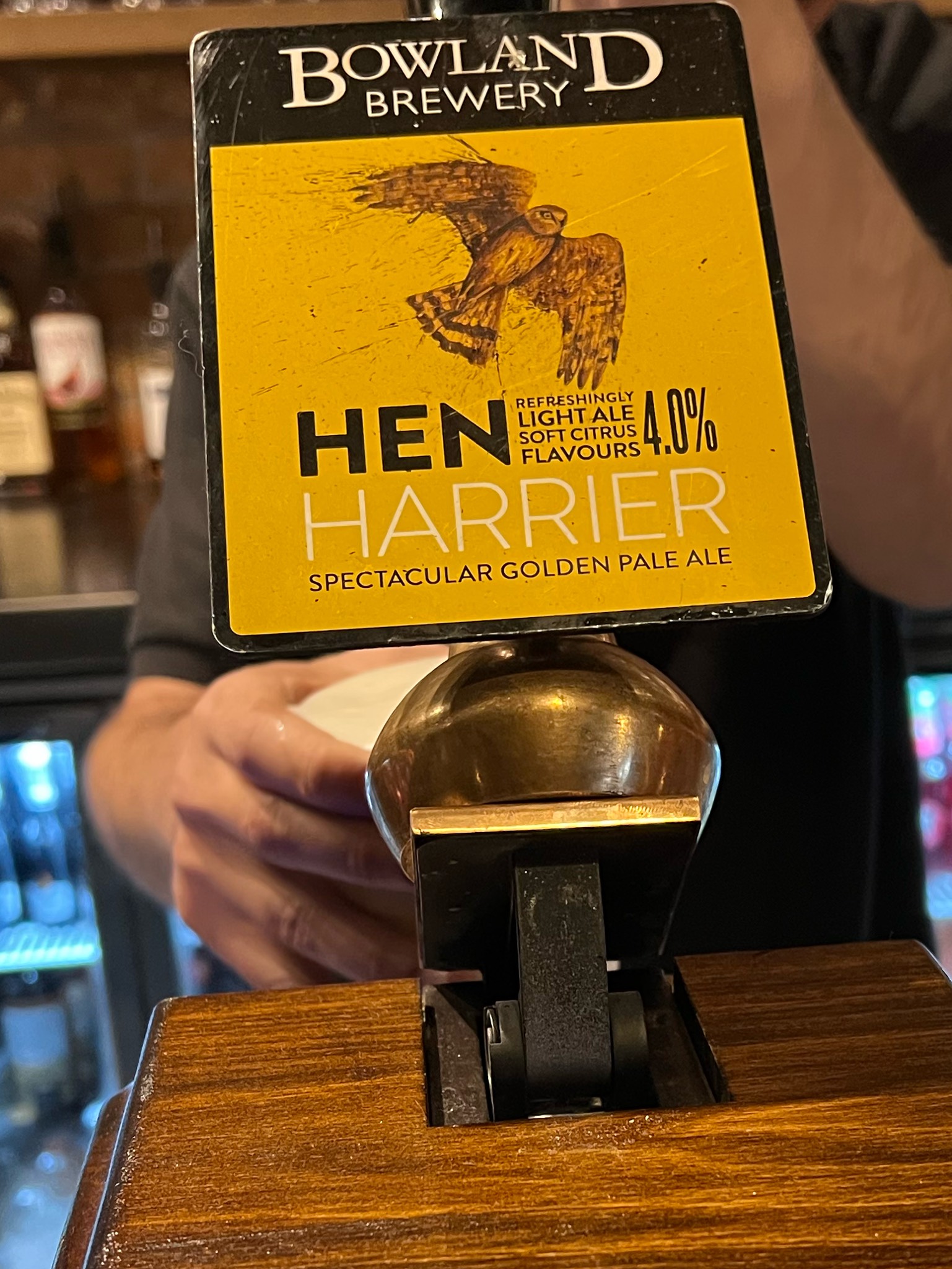 Hen Harrier, England