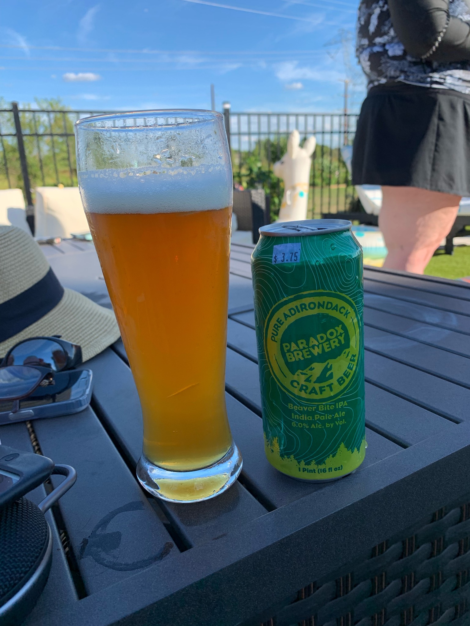 Beaver Bite IPA, United States