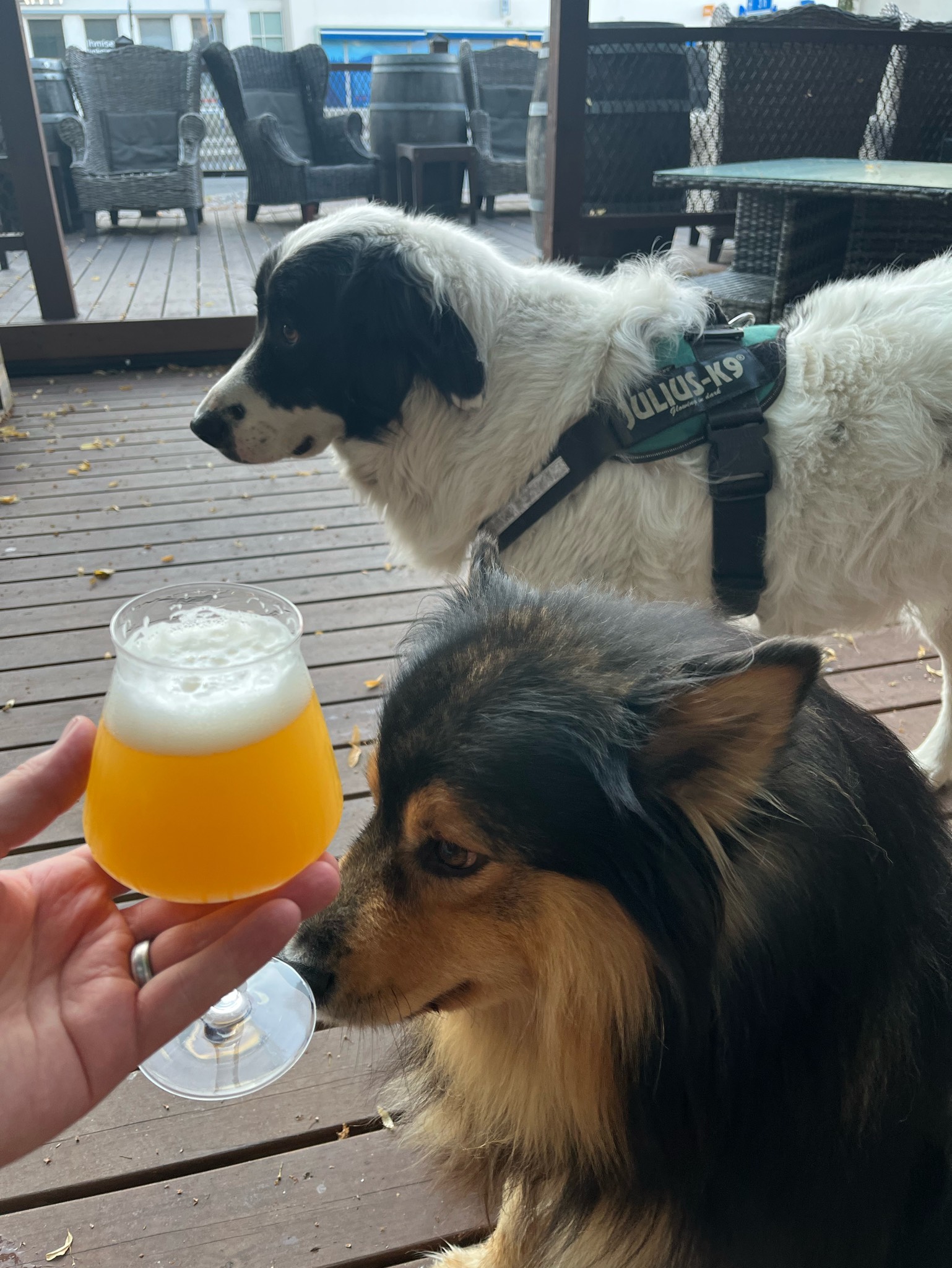 Florets, United States