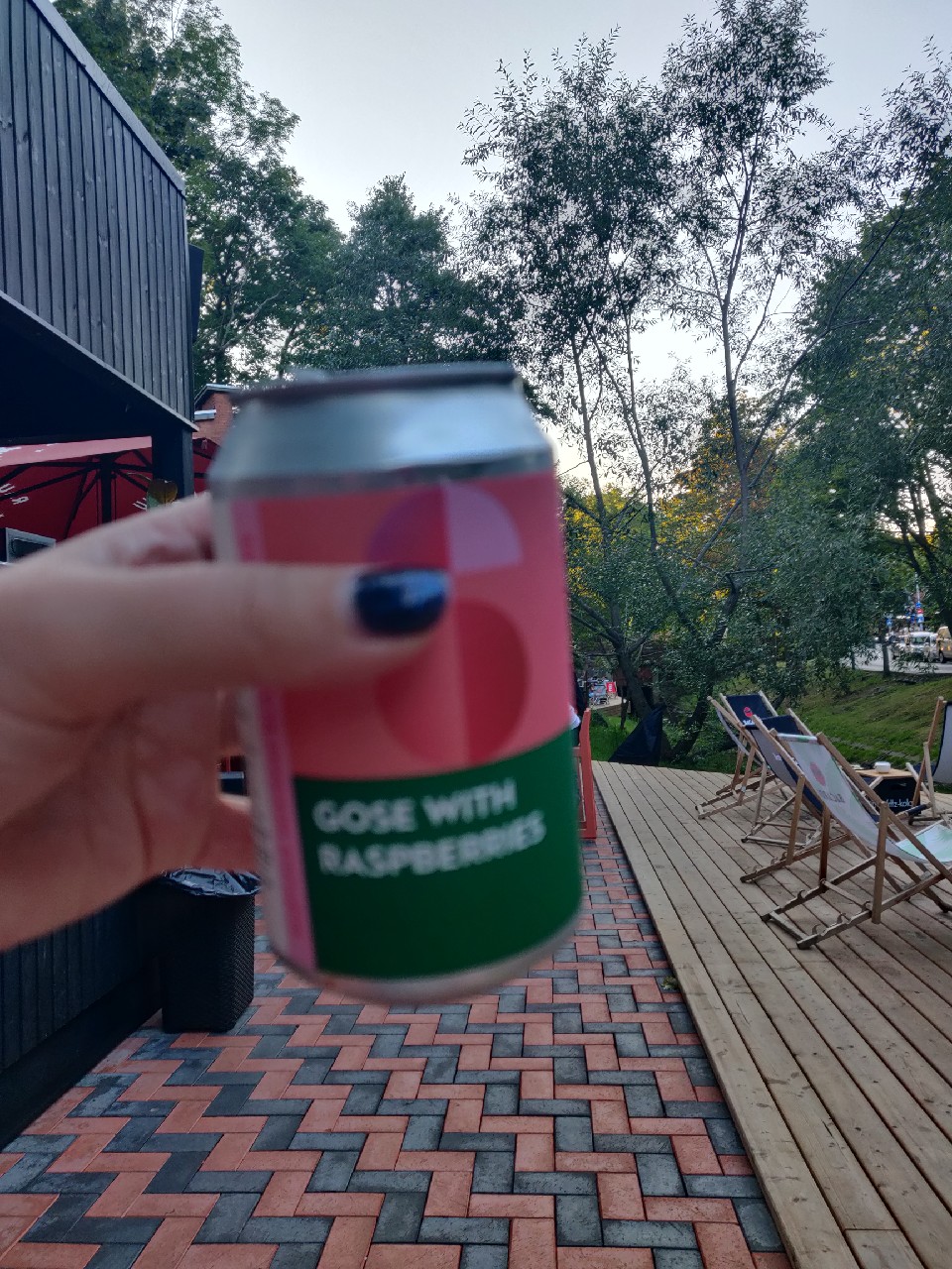 Gose With Raspberries, Lithuania