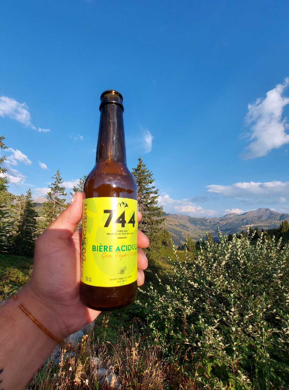 744 Gose Thym-Citron, France