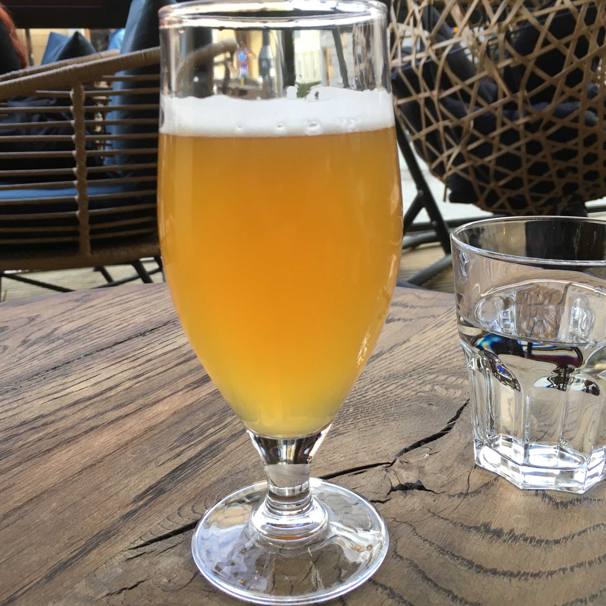 Pale Ale Nelson Sauvin, England