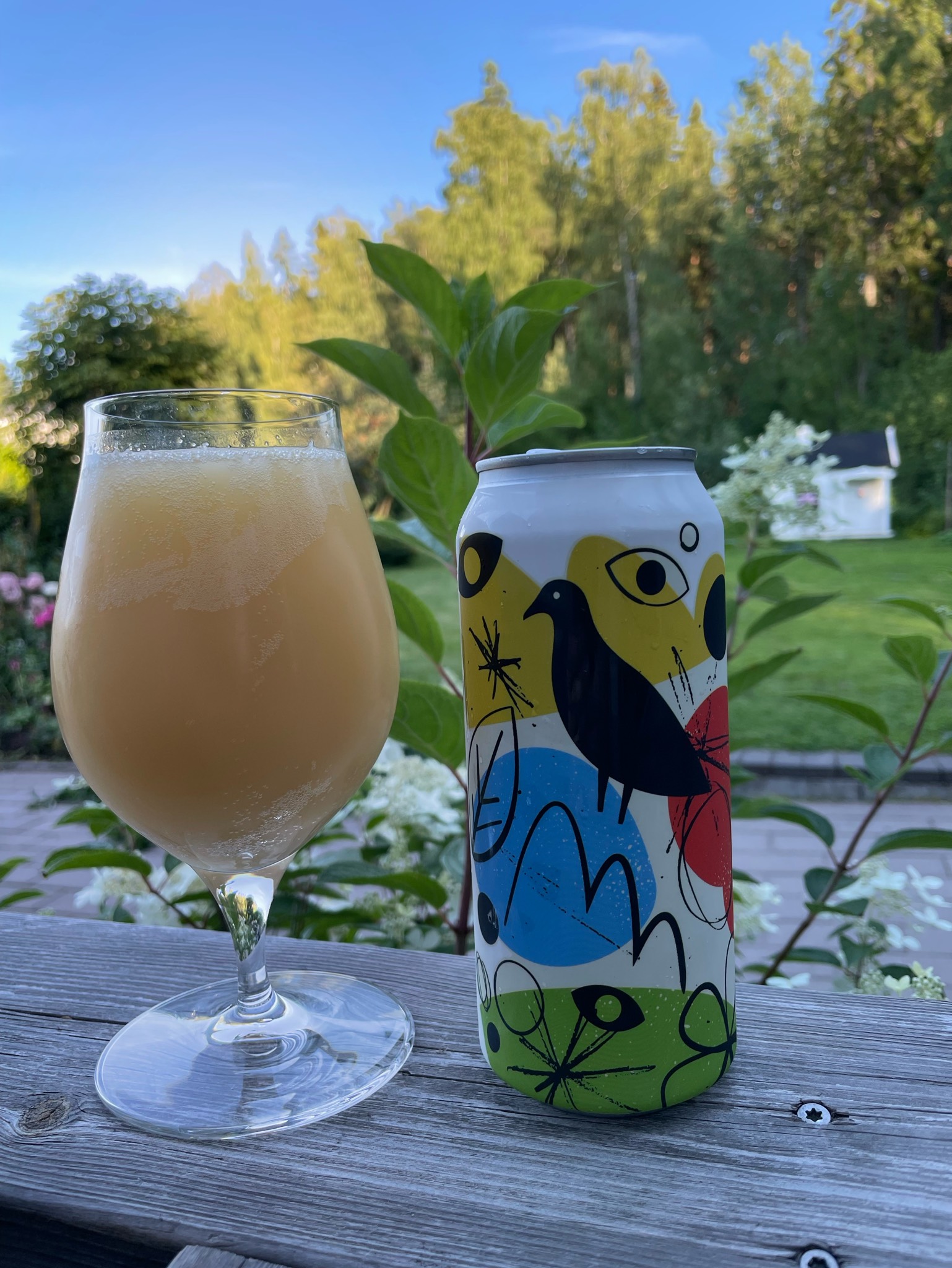 IPA No. 18 Coconut & Key Lime IPA, Canada