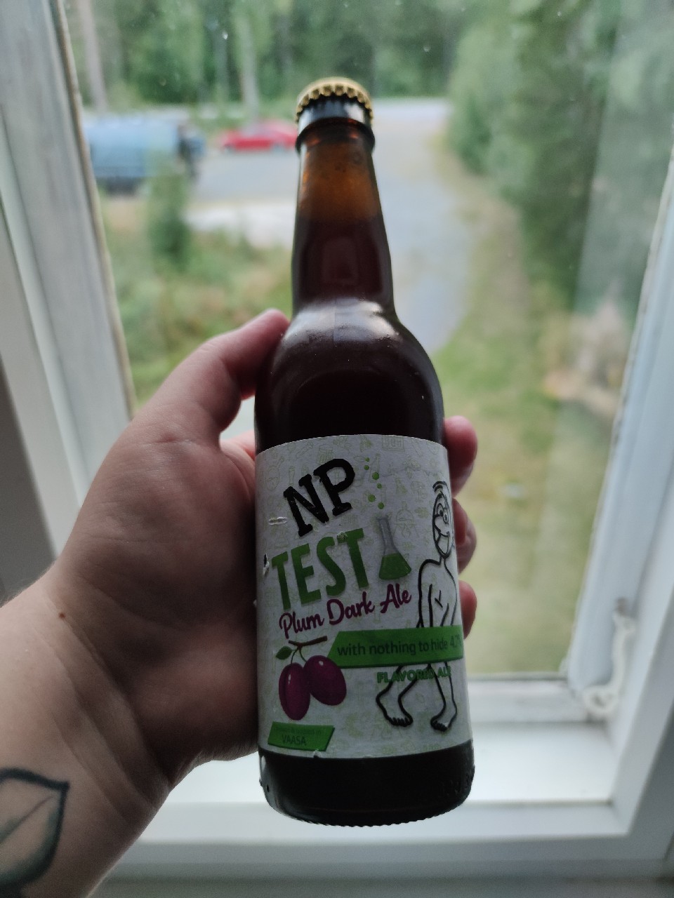 NP Test Plum Dark Ale, Finland