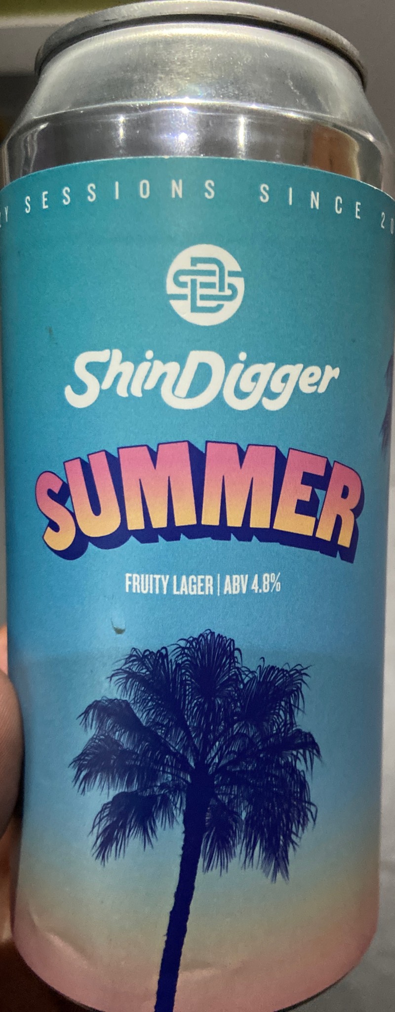 ShinDigger Summer, England