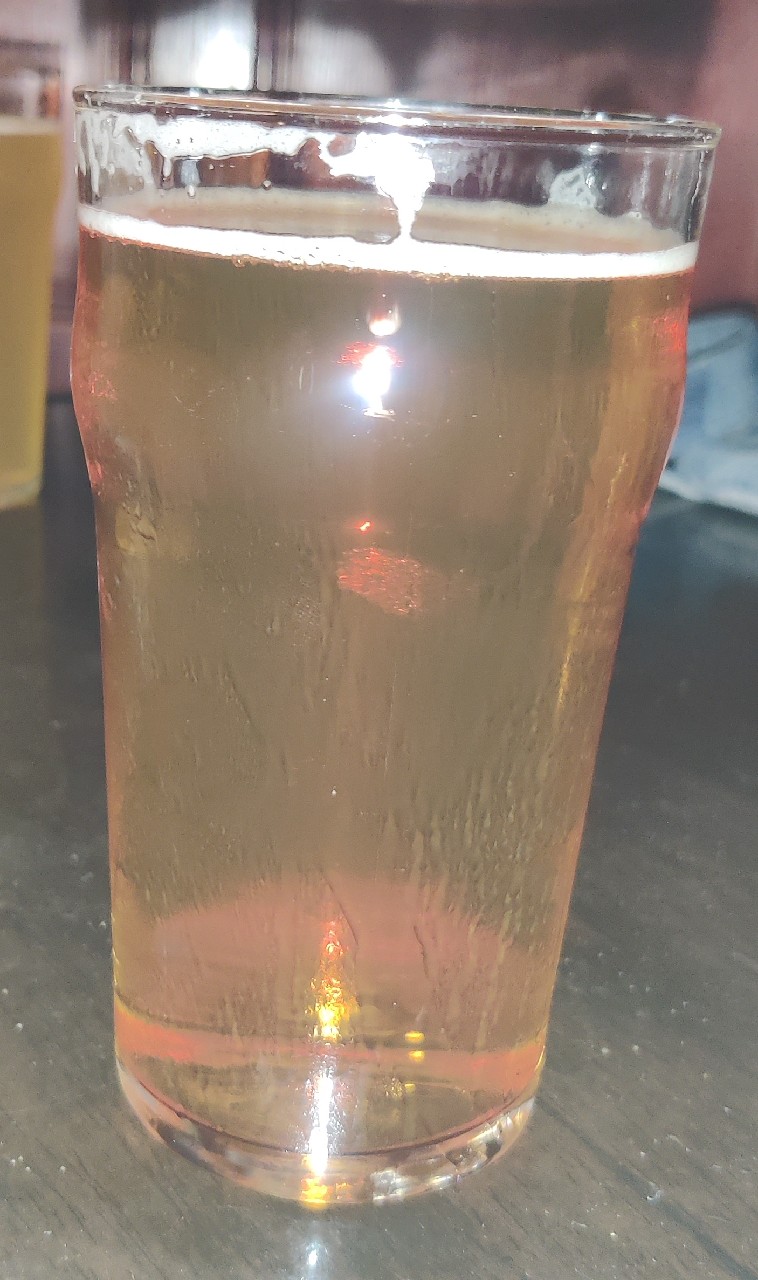 Charlie Wells Dry Hopped Lager, England