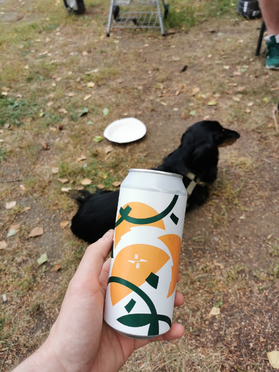 North X Full Circle Fresh Hop American IPA, England