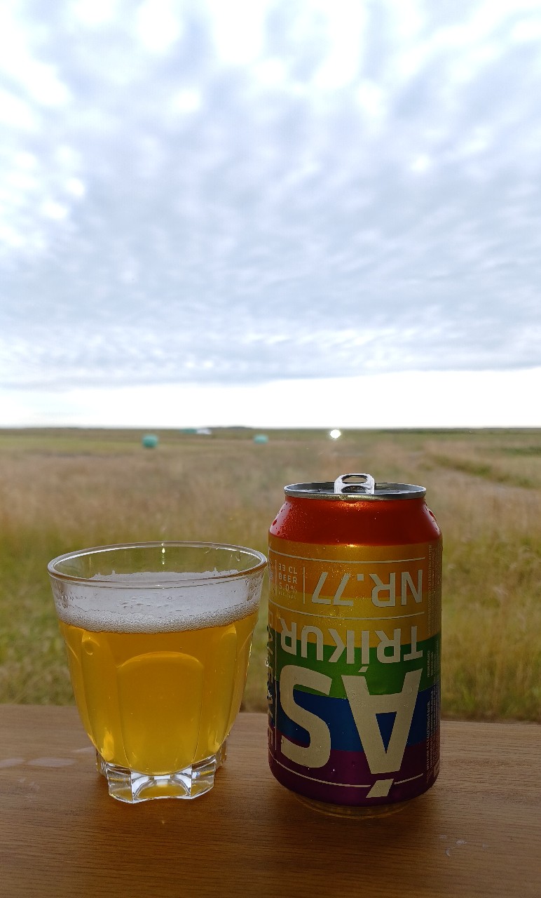 Ástríkur NR.77, Iceland