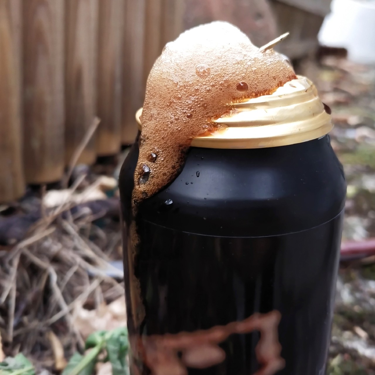 Peanut Butter Chocolate Cookie, Germany
