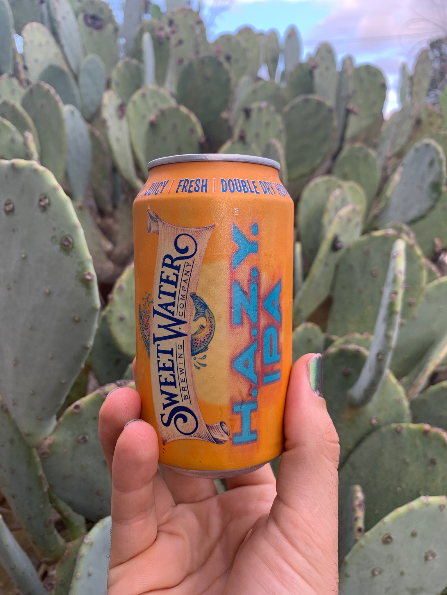 H.A.Z.Y. IPA, United States