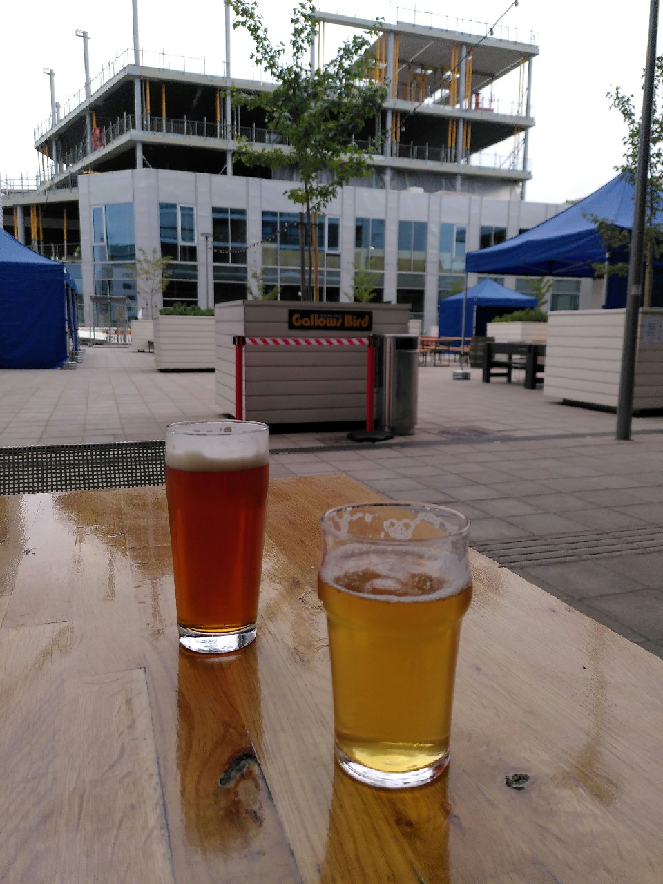 Schäferhund, Finland