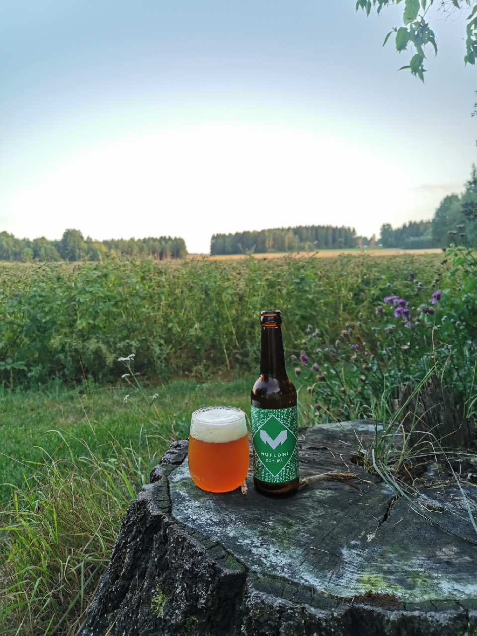 Mufloni DDH IIPA, Finland