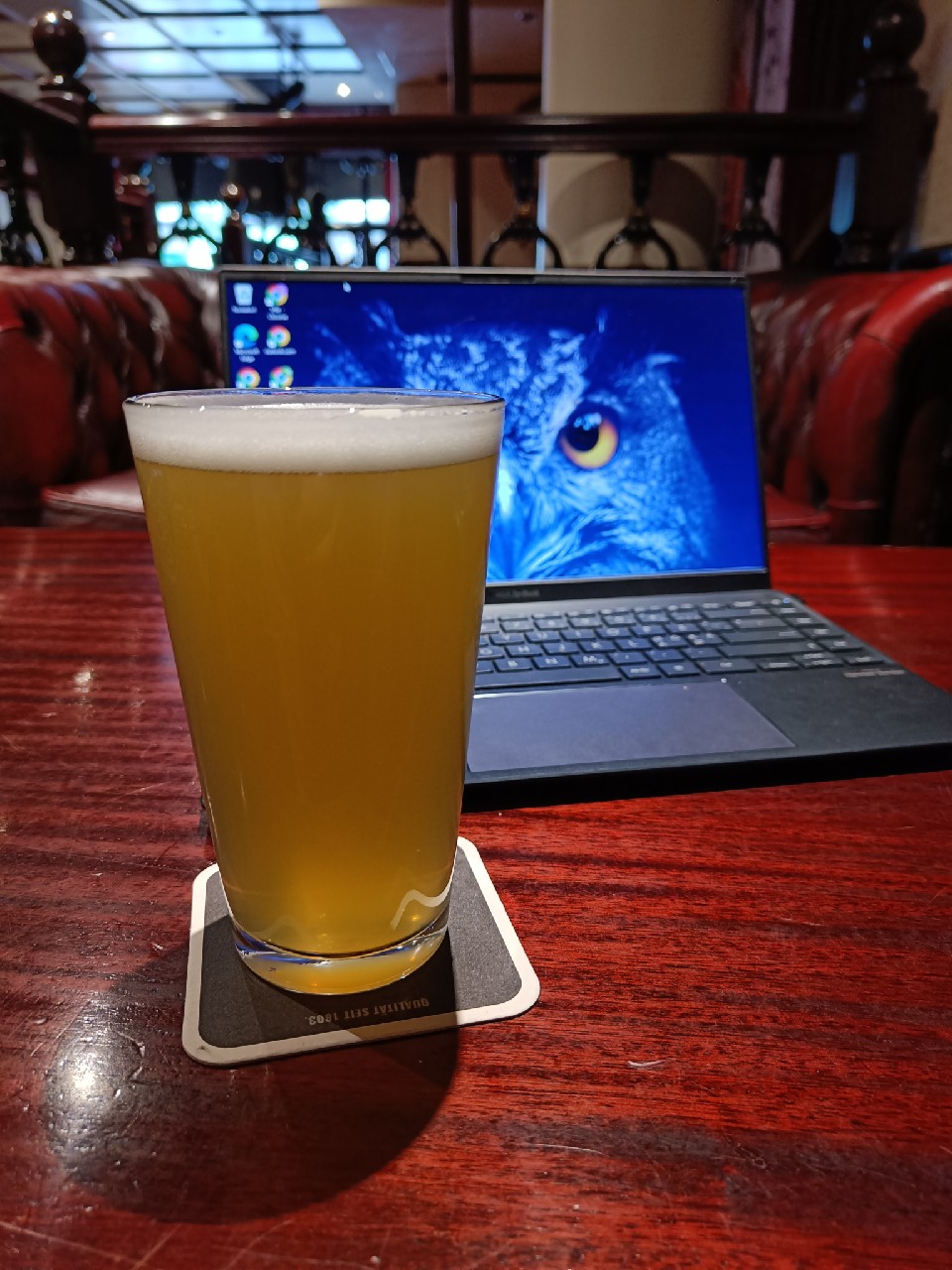 Pils Nelson Sauvin, England