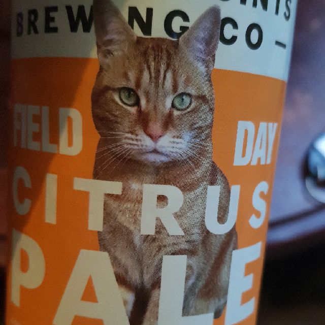 Field Day Citrus Pale, England