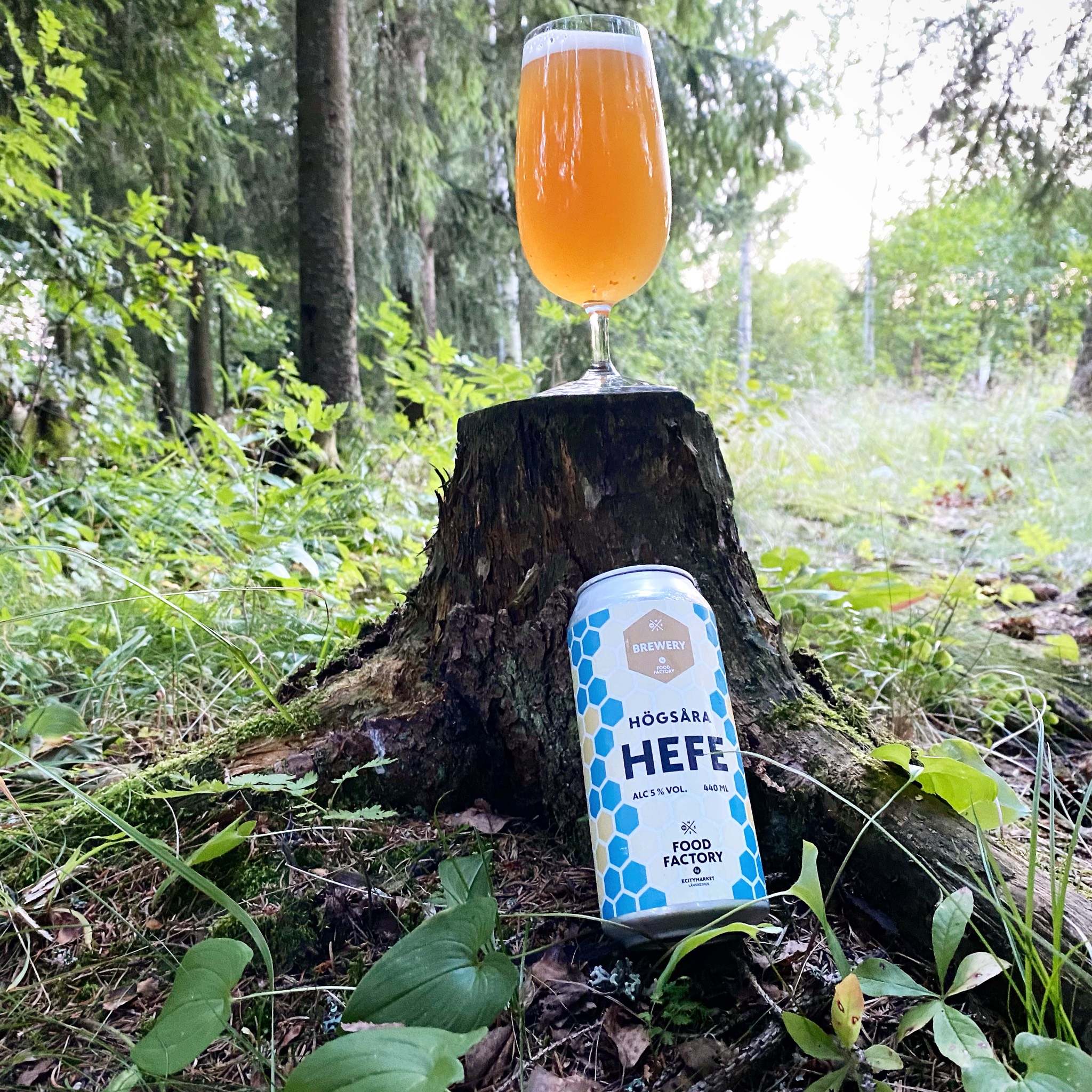 Högsåra, Finland