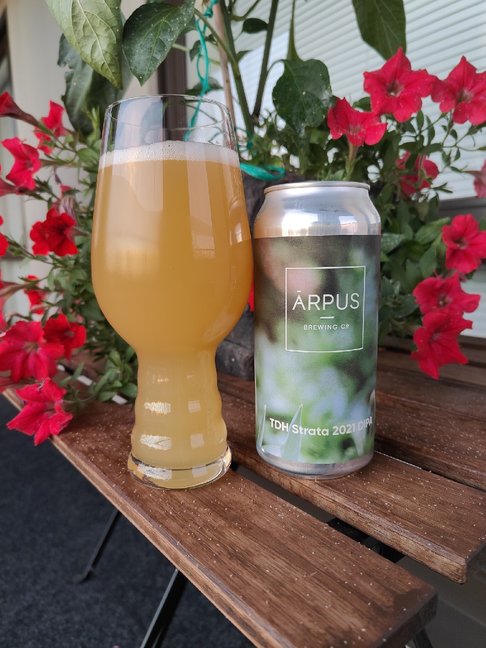 TDH Strata 2021 DIPA, Latvia