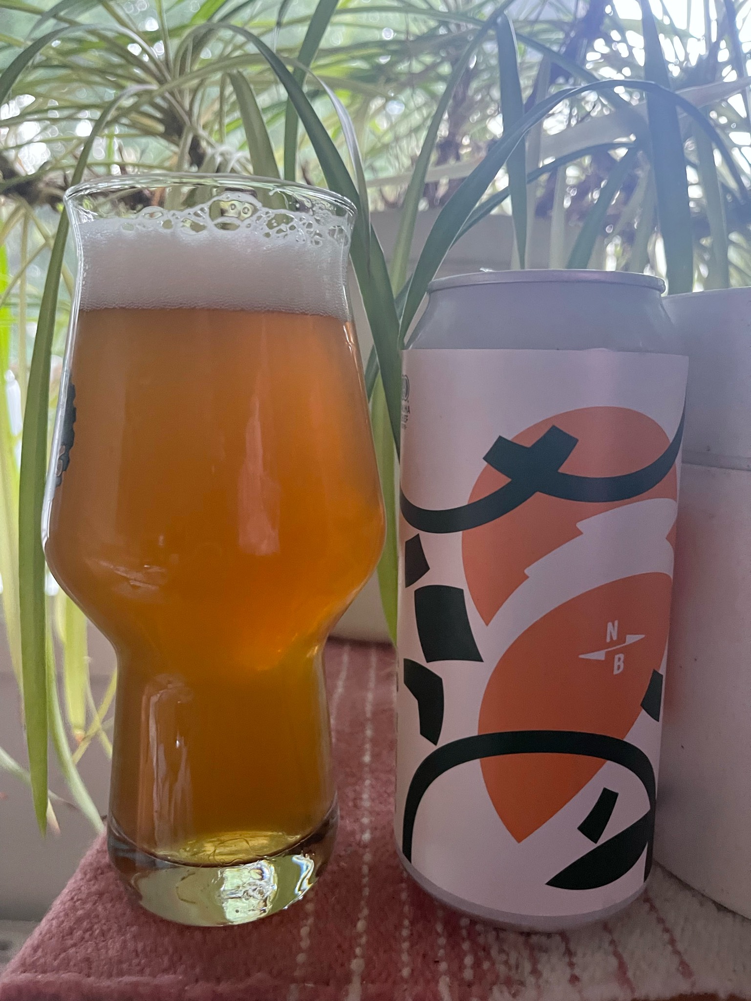 North X Full Circle Fresh Hop American IPA, England