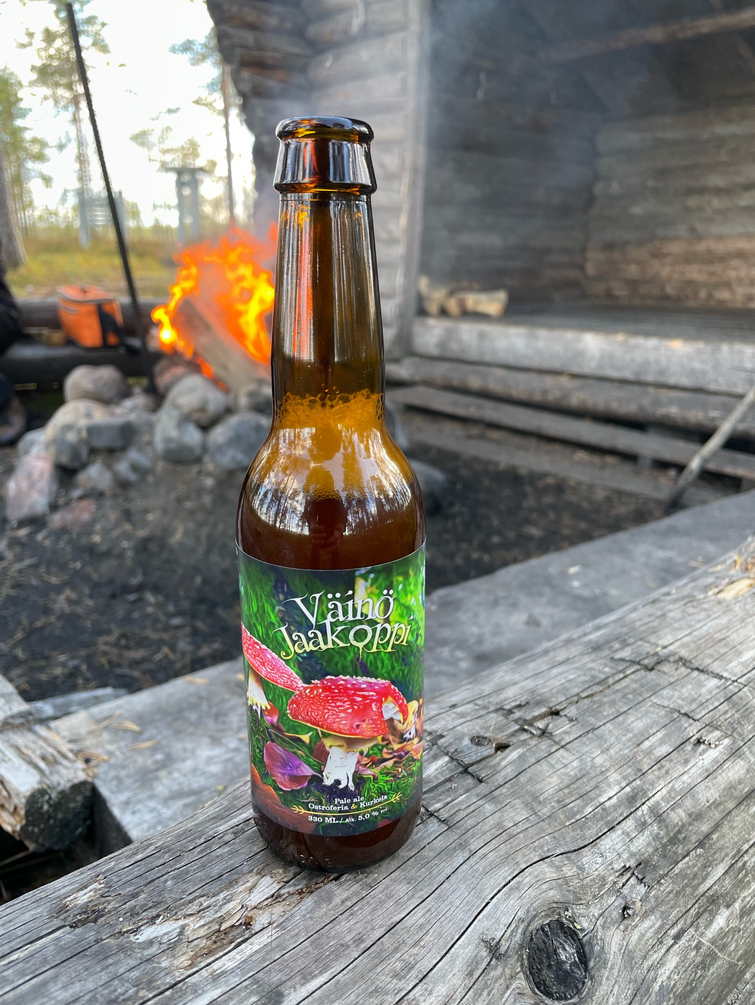 Väinö Jaakoppi, Finland