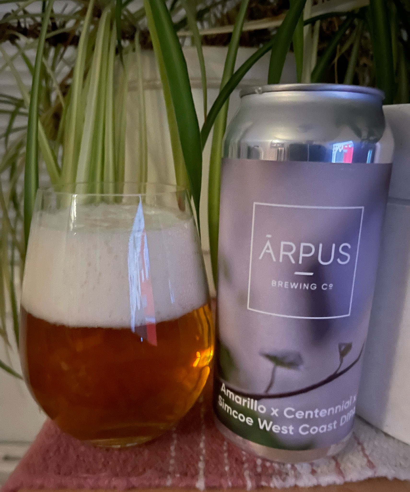 Amarillo x Centennial X x Simcoe West Coast DIPA, Latvia