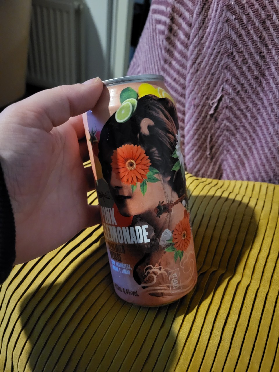 Pink Lemonade Berliner Weisse com framboesa, amora e limão, Brazil