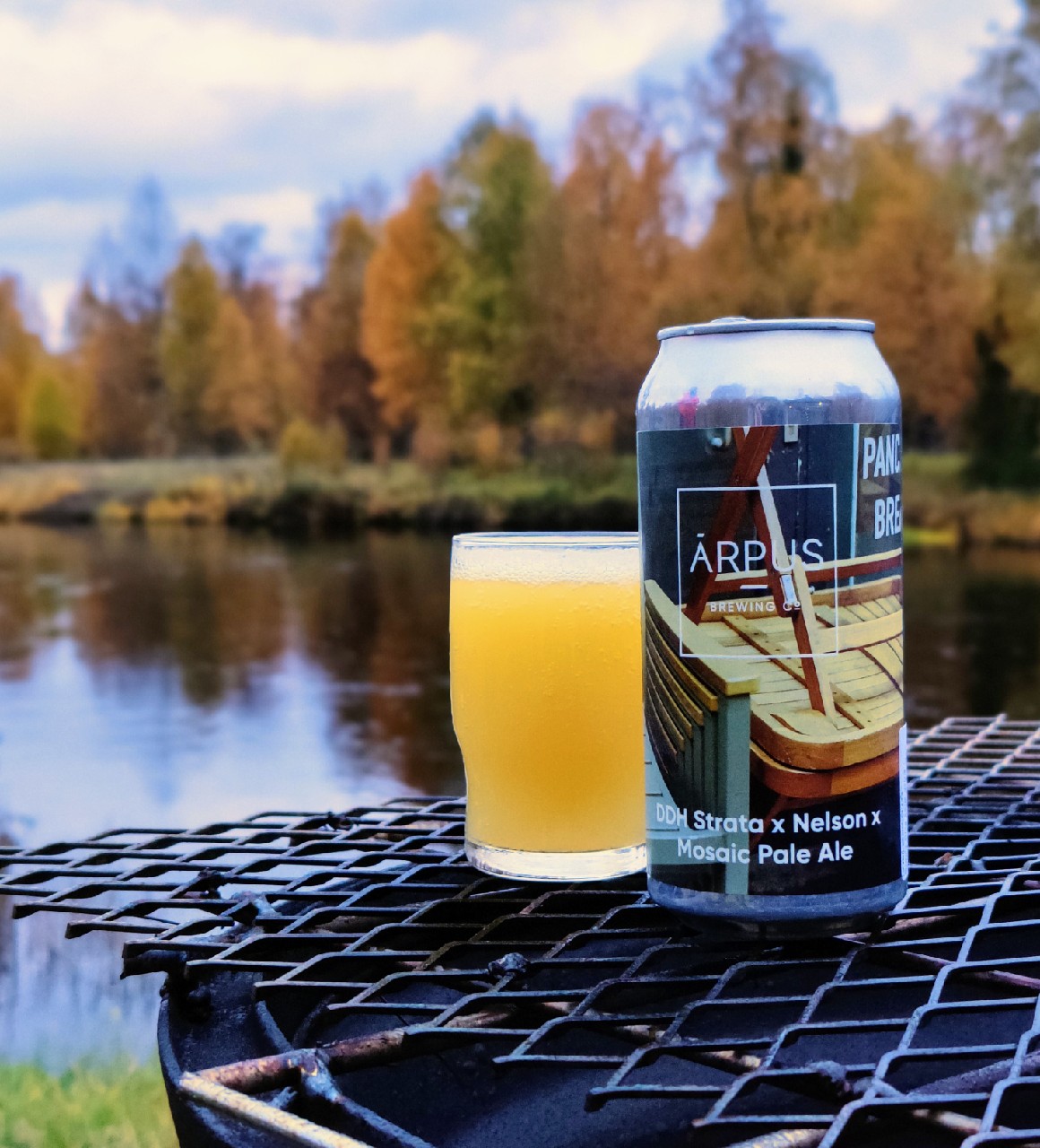 DDH Strata x Nelson x Mosaic Pale Ale, Latvia