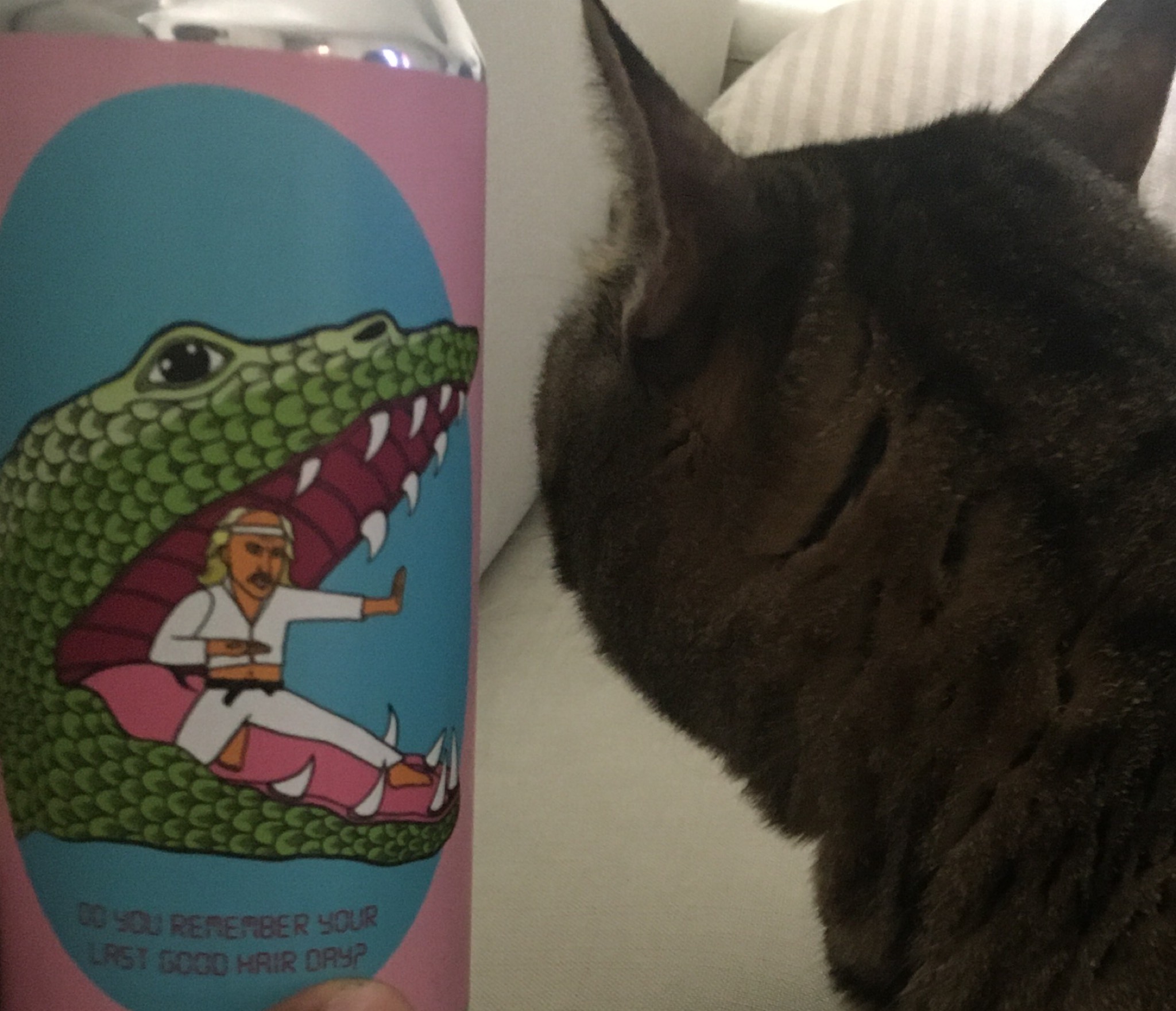 Do you remember your last good hair day?, United States