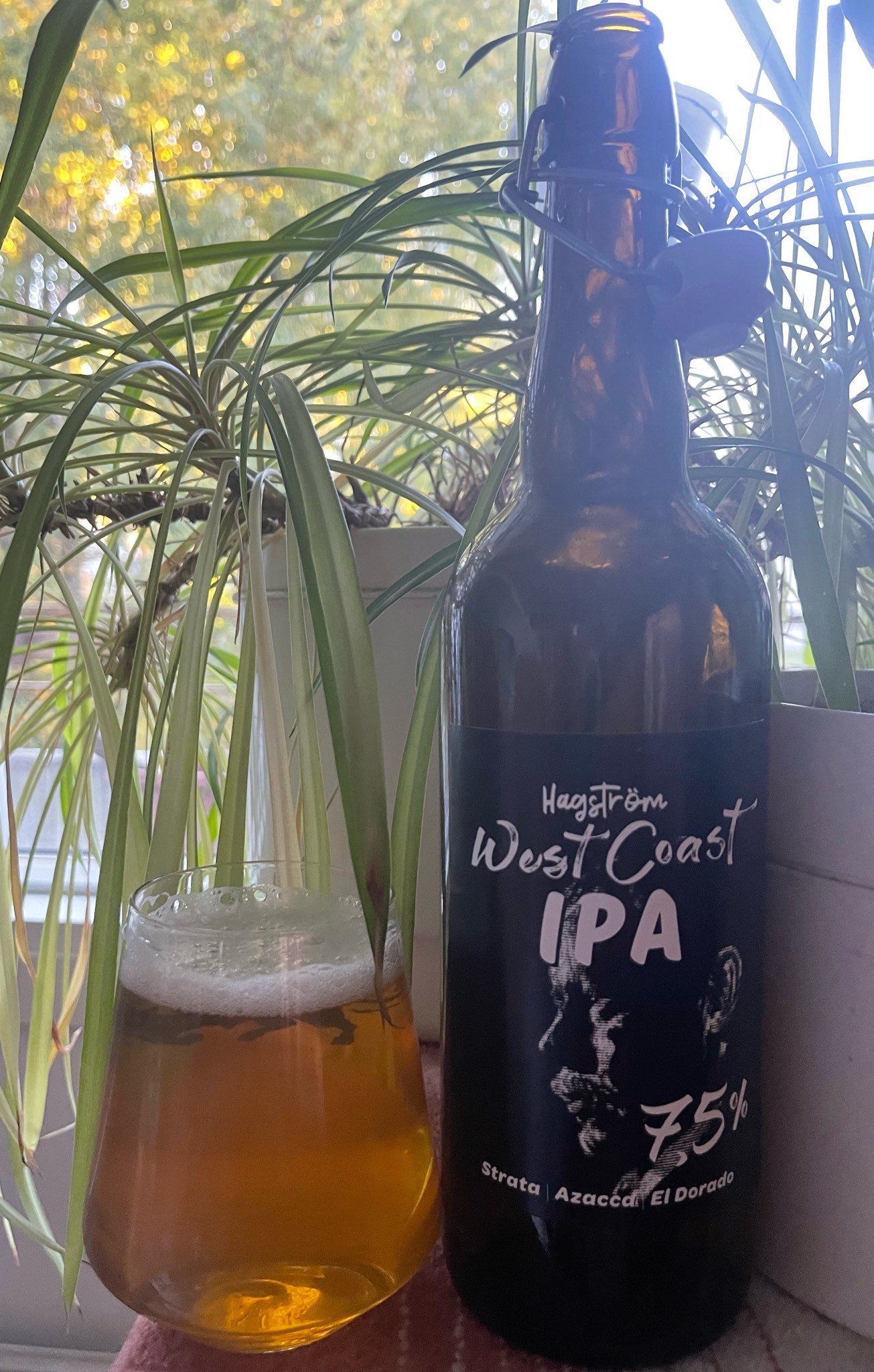 Hagström West Coast IPA, Finland