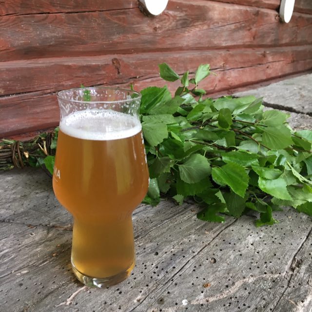 Koivuniemen herra, Finland