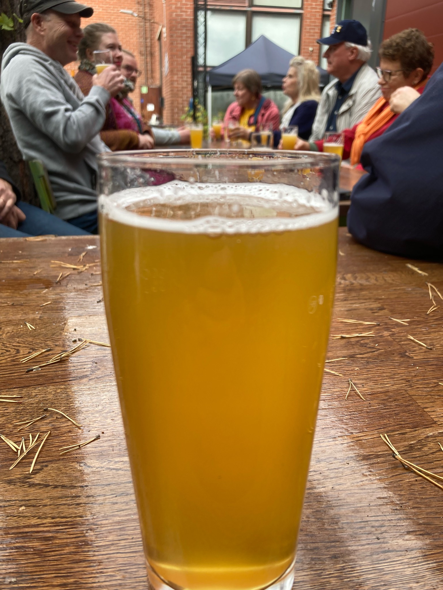 Hagström West Coast IPA, Finland