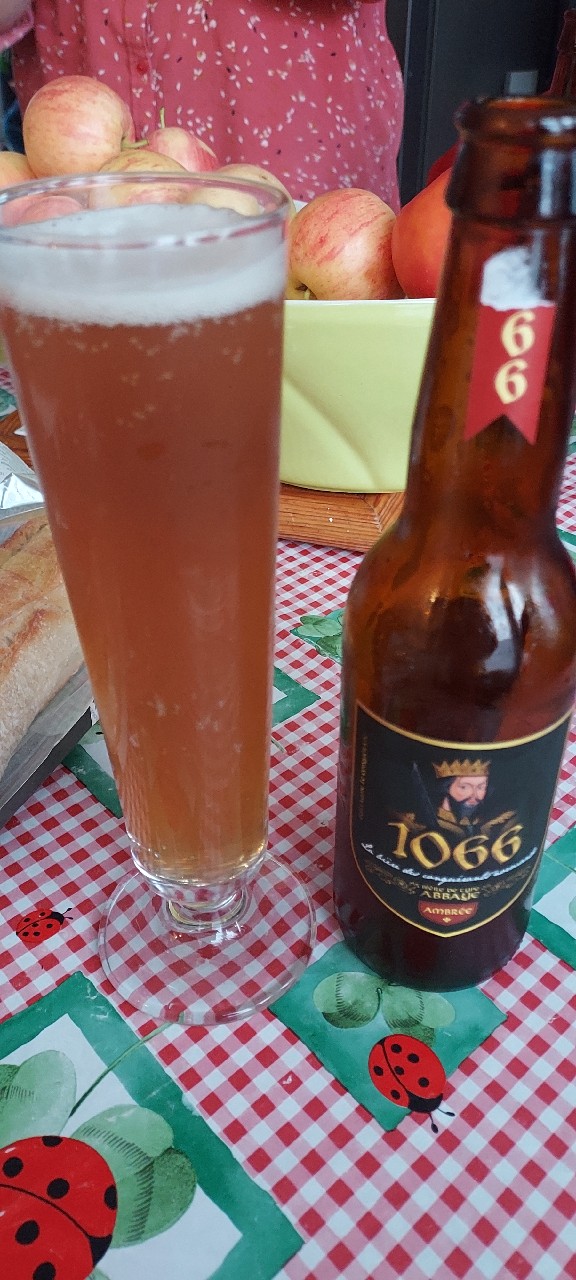 1066 Ambrée, France